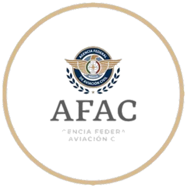 Agencia Federal de Aviación Civil